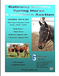 1 Gateway Country Spring Horse & Longhorn Auction